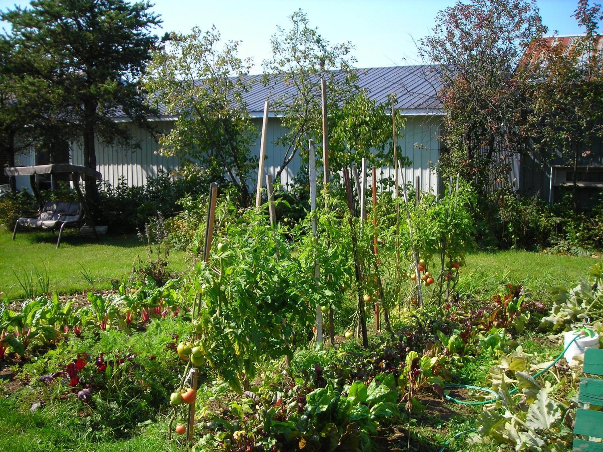 Gite Des Hauteurs Et Cafe De La Place Saint Zenon Eksteriør billede